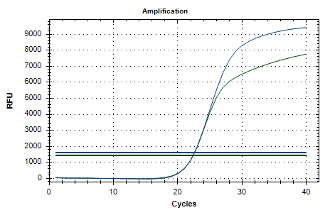 Japanese Encephalitis-Q Real Time PCR Kit
