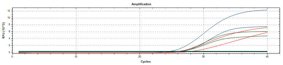 Dengue-Q Real-Time PCR Kit