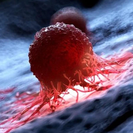 Conology Cancer Mutation