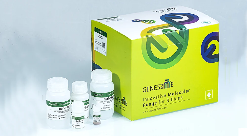 Blood DNA Extraction Kits