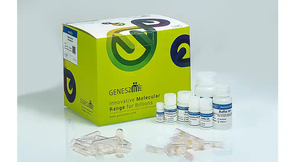 Blood DNA Extraction Kits