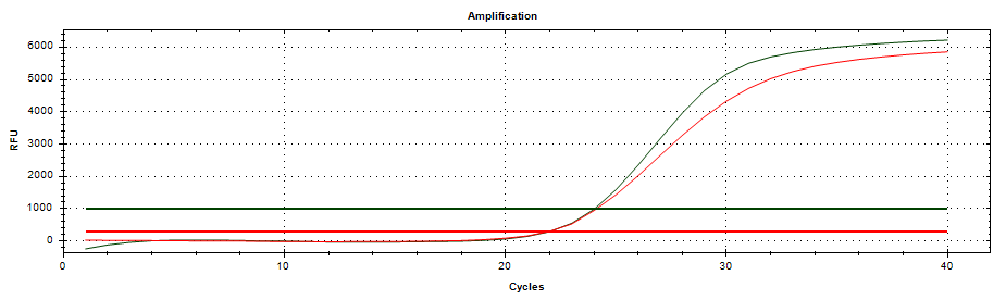 Adeno-Q Real Time PCR Kit