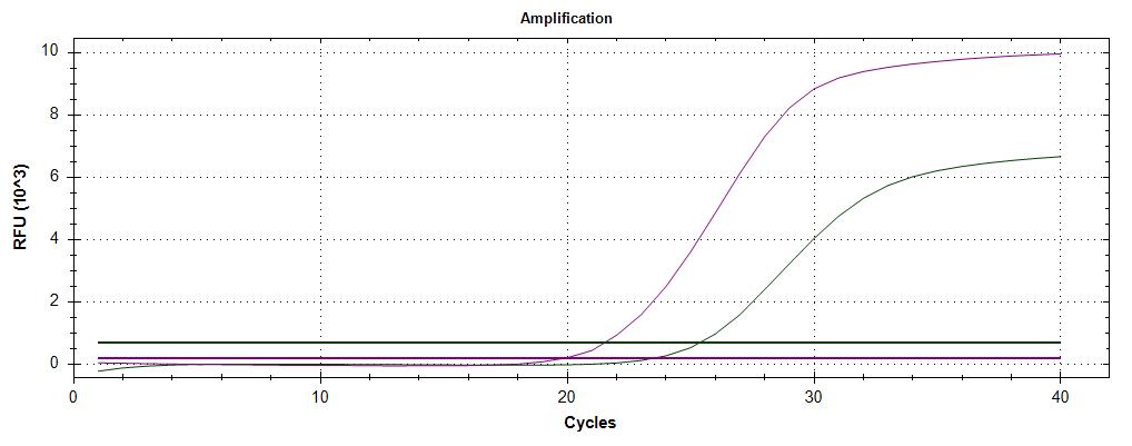 Amplification_TG.jpg