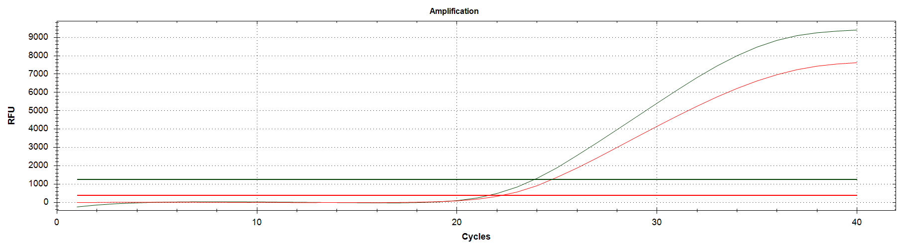 EBV-Q Real Time PCR
