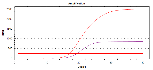 HBV-Q Real-Time PCR Kit