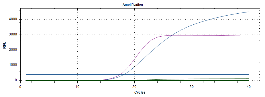 HCV-Q  Real Time PCR Kit