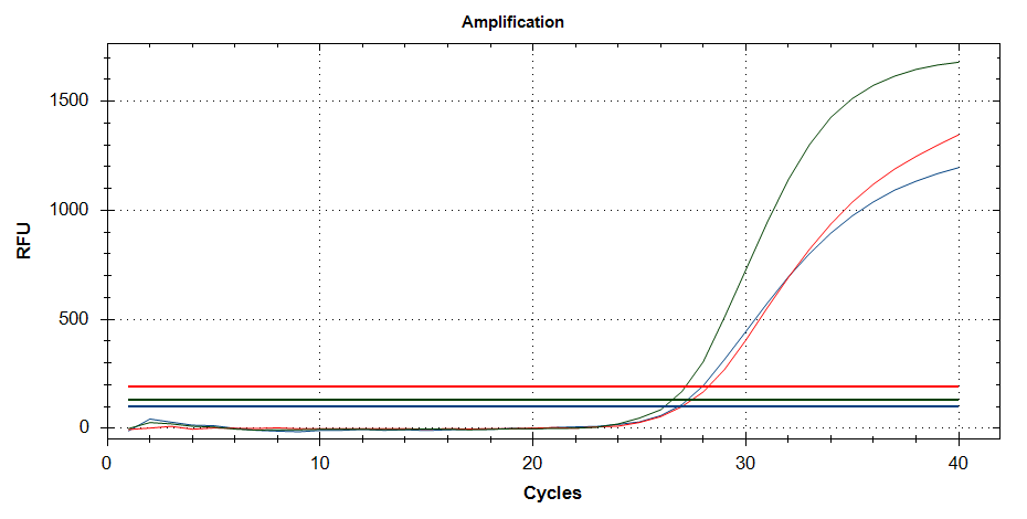 MTC-Q Real Time PCR Kit for Enterovirus