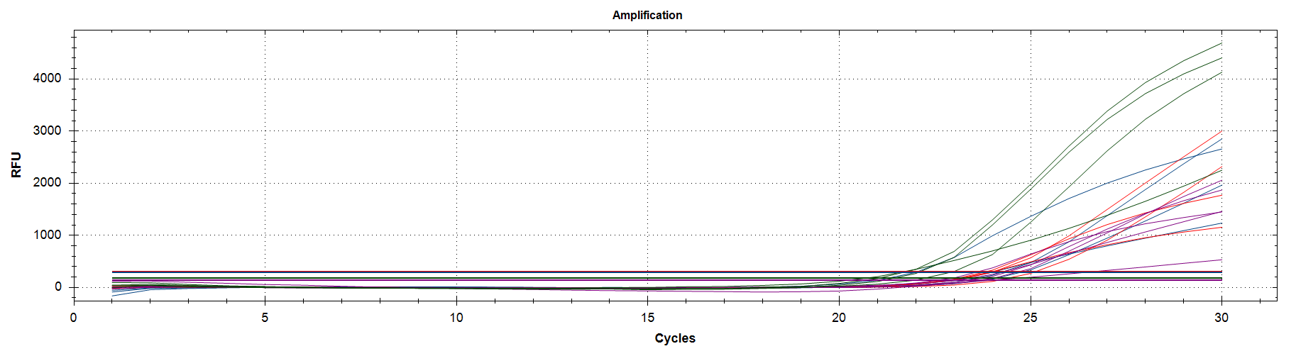 YCM-Q Real Time PCR