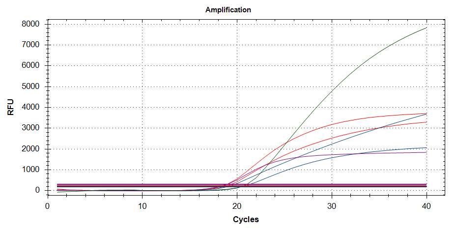 Influenza A/B-Q Real Time PCR Kit