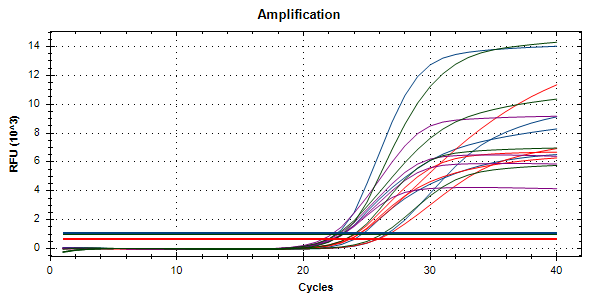 STI-Q Real Time PCR