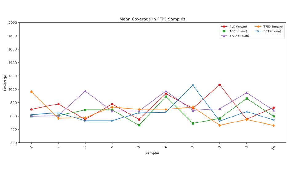 TB-Q Real Time PCR Kit