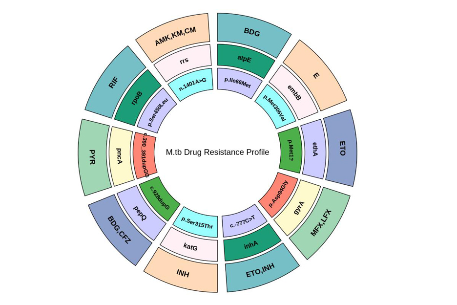 TB-Q Real Time PCR Kit