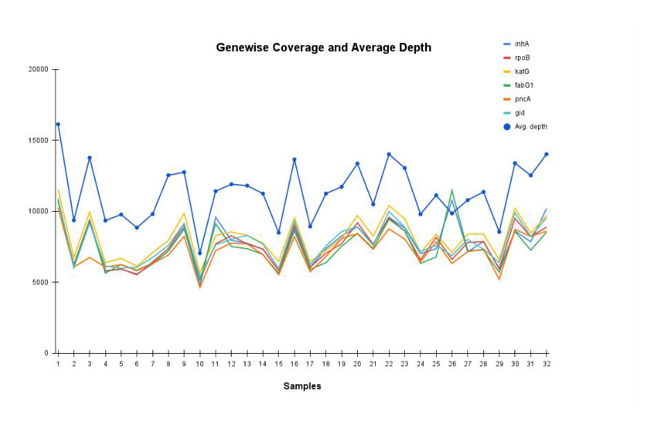TB-Q Real Time PCR Kit