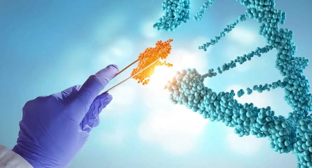 High-Efficiency DNA and RNA Nucleic Acid Extraction Kits and Systems