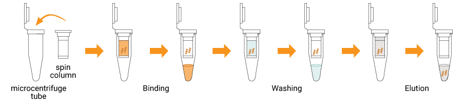 Spin Column Bead Based Kit