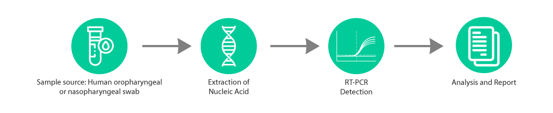 Real Time PCR Testing Solutions