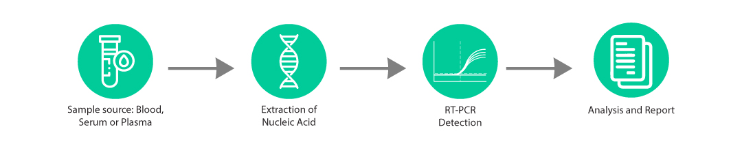 CE IVD Real Time PCR Kit