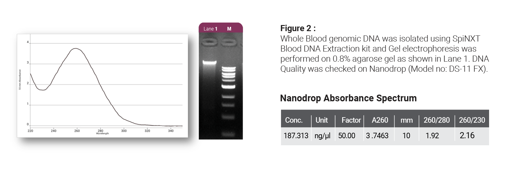 Blood DNA Extraction Kits