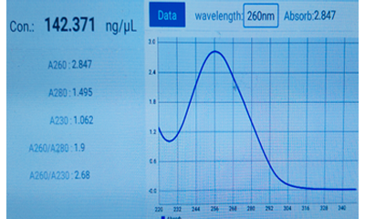 DNA Extraction Kit