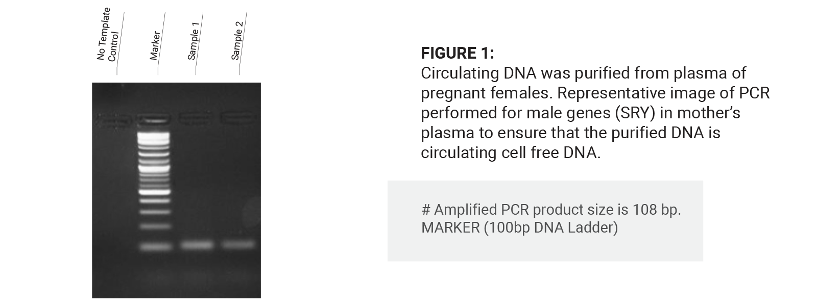 Tissue & Body Fluid DNA Extraction Kit