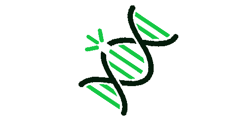 RNA and DNA Polymerase