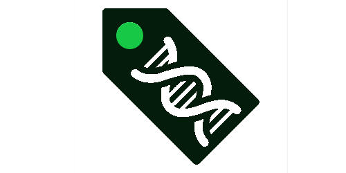 RT PCR Testing Kits