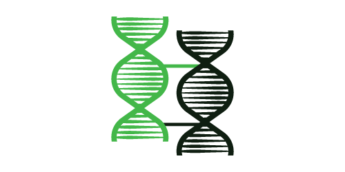 Molecular Biology