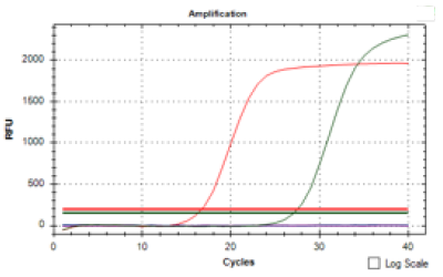 Viral RNA Extraction Kit