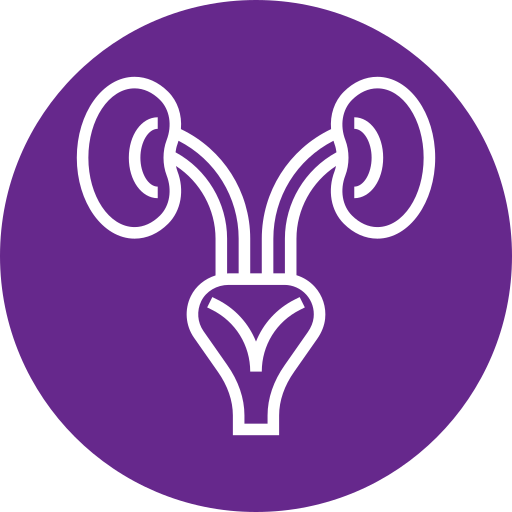 Next Generation Sequencing - NGS